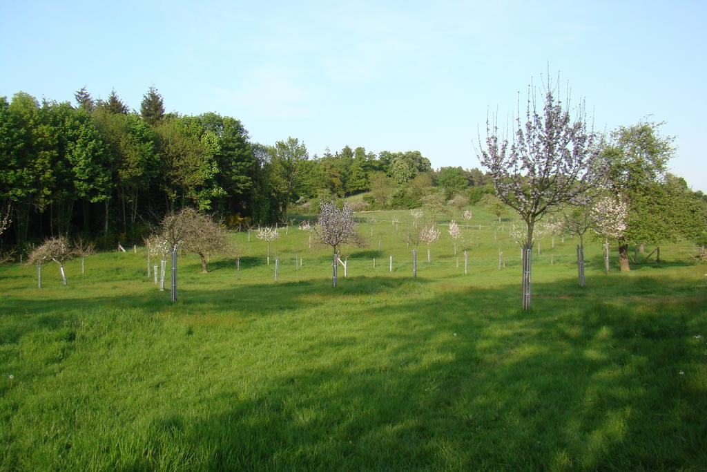 Gite De La Cour Campandré-Valcongrain Стая снимка